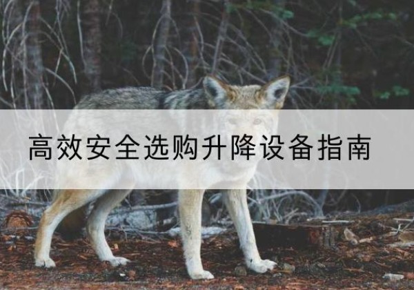 宜章升降货梯厂家推荐-*安全选购升降设备指南