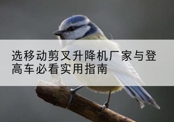 宜章电动升降机厂家-选移动剪叉升降机厂家与登高车必看实用指南
