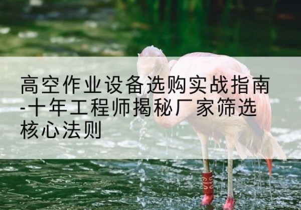 宜章剪叉式升降机厂家-高空作业设备选购实战指南-十年工程师揭秘厂家筛选核心法则